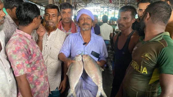 নোয়াখালীতে ২ ইলিশ বিক্রি হলো সাড়ে ১১ হাজার টাকায়