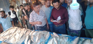 ফরিদপুরে ভোক্তার অভিযানে প্রতি কেজি ইলিশের দাম কমেছে ৩/৪শ টাকা