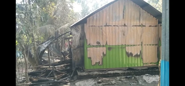 নোয়াখালীতে আগুনে পুড়ে মরল ৩ গরু