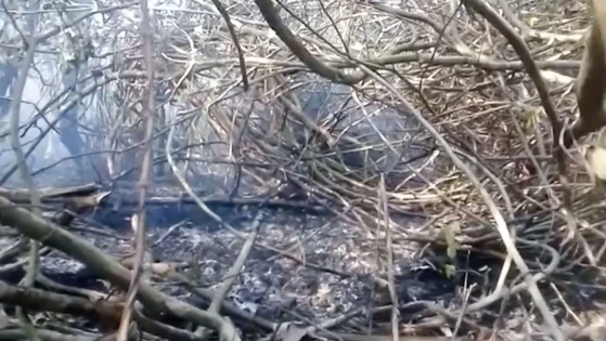 নদীতে ভাটা থাকায়, পানি ছেটাতে পারছেনা ফায়ার সার্ভিস