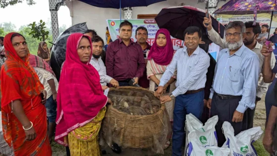 রাজবাড়ী সদরে ১১৩ জন সুফলভোগী খামারীদের মাঝে বিনামূল্যে হাঁস ও হাঁসের খাবার বিতরণ