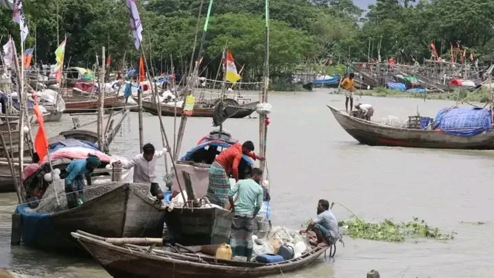 ইলিশের আকাল ভরা মৌসুমে নিষিদ্ধ জাল ও নাব্যতা সংকটই দায়ী