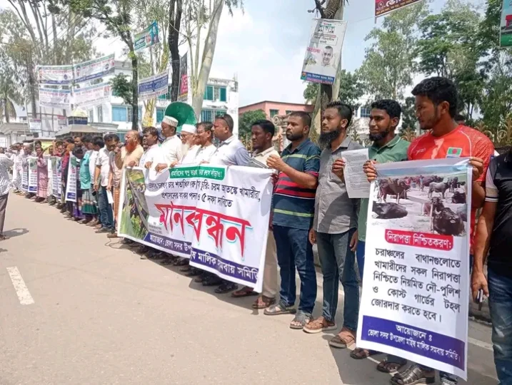 চরাঞ্চলে গরু-মহিষ চুরির অভিযোগে ভোলায় খামারিদের মানববন্ধন