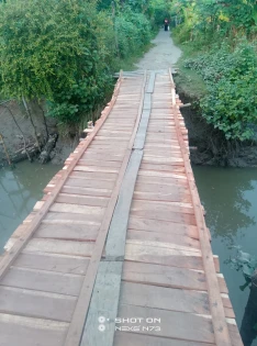 বিএনপি নেতার অর্থায়নে কাঠের সেতু : ৬ হাজার মানুষের দুর্ভোগ লাঘব