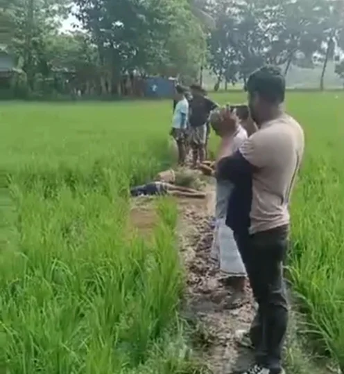 নোয়াখালীতে ইঁদুর মারার ফাঁদে প্রাণ গেল কৃষকের