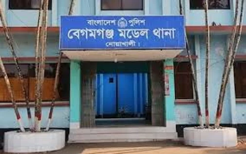 নোয়াখালীতে বাঁশের সাঁকো থেকে খালে পড়ে শিশুর মৃত্যু