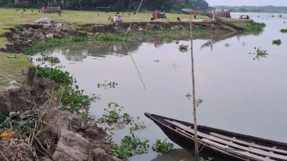 মাদারীপুরে বর্ষার আগেই নদীভাঙন, আতঙ্কে এলাকাবাসী